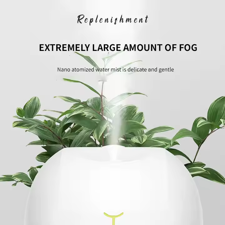 Humidifier Diffuser