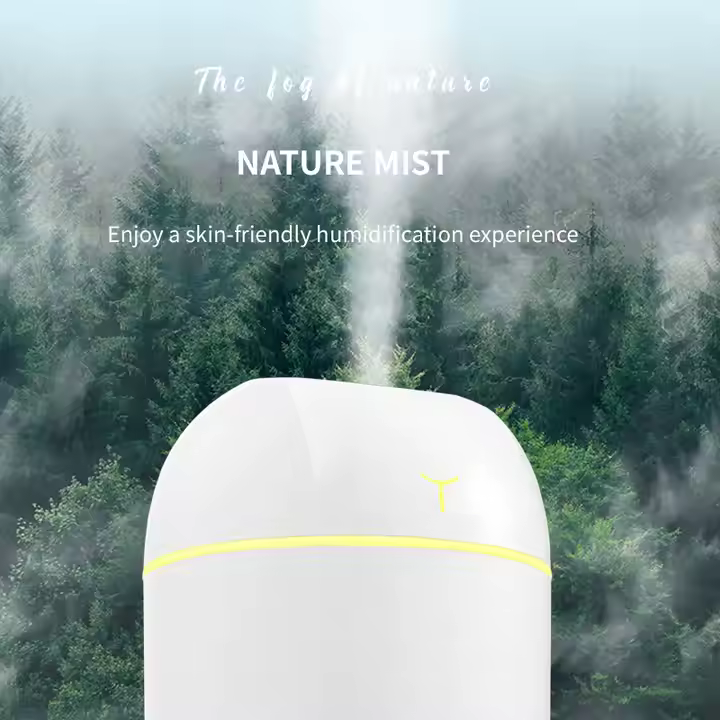 Humidifier Diffuser